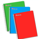 Cuaderno Multimateria 150H Pasta Flexible A  rimany 5L